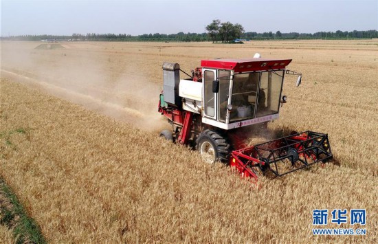 ����������3���ӱ��������ġ�æ����