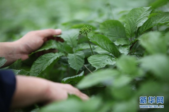 #����(j��ng)��(j��)����3��ɽ�|�ĵǣ��������æ