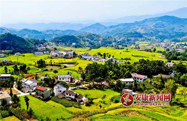 ����Ҕz (2).jpg