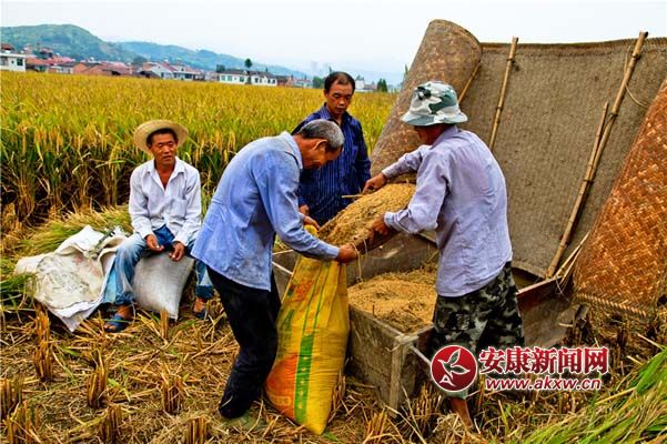 ����Ҕz (4).jpg