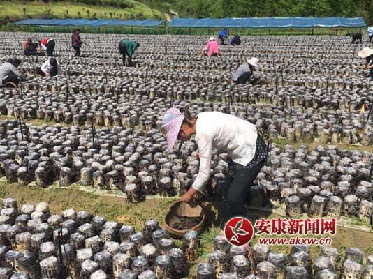 �h�悹P�ܴ��ؚľ��ϲ�S��