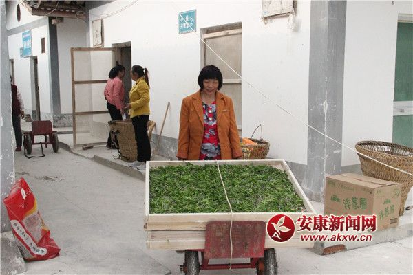 �Q�r(n��ng)��(l��i)�������簴Ʊ�I(l��ng)ȡ�Q�N����(du��)С�Q������ρ�Qٝ���^�� (2).jpg