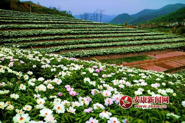 ꐘs�� �z��4.01��.jpg