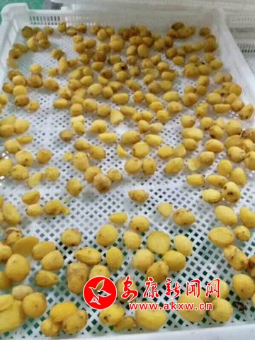 �{����С 9.jpg