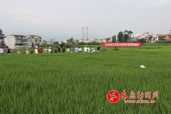 �o�˙C�@����  �����(n��i)æ�w��1.JPG