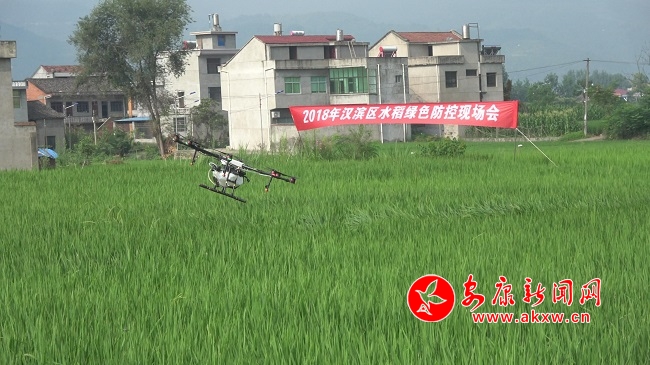 �o�˙C�@����  �����(n��i)æ�w��.jpg