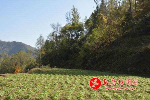 �{����С DSC_7051.JPG