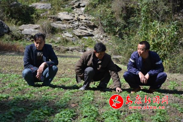 �{����С DSC_7076.JPG