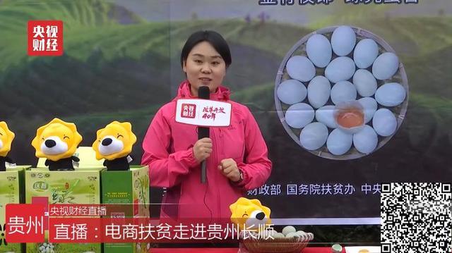 全渠道助銷農產品超60億 蘇寧榮獲2018電商公益先鋒獎