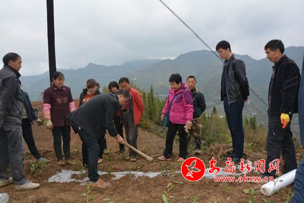 �{����С DSC_7395.JPG