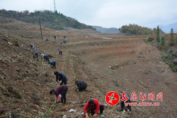 �{����С DSC_7360.JPG