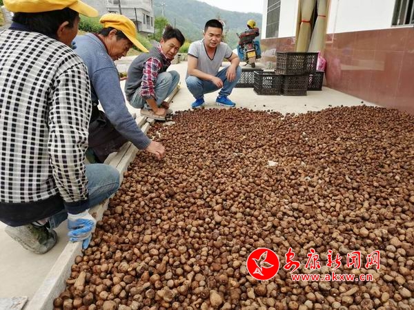 調整大小 微信圖片_20190417105249.jpg