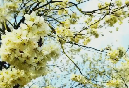 �r�I�@�ﴺ���[