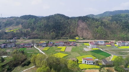 �hꎣ��P(p��n)�����ﻨ�h��