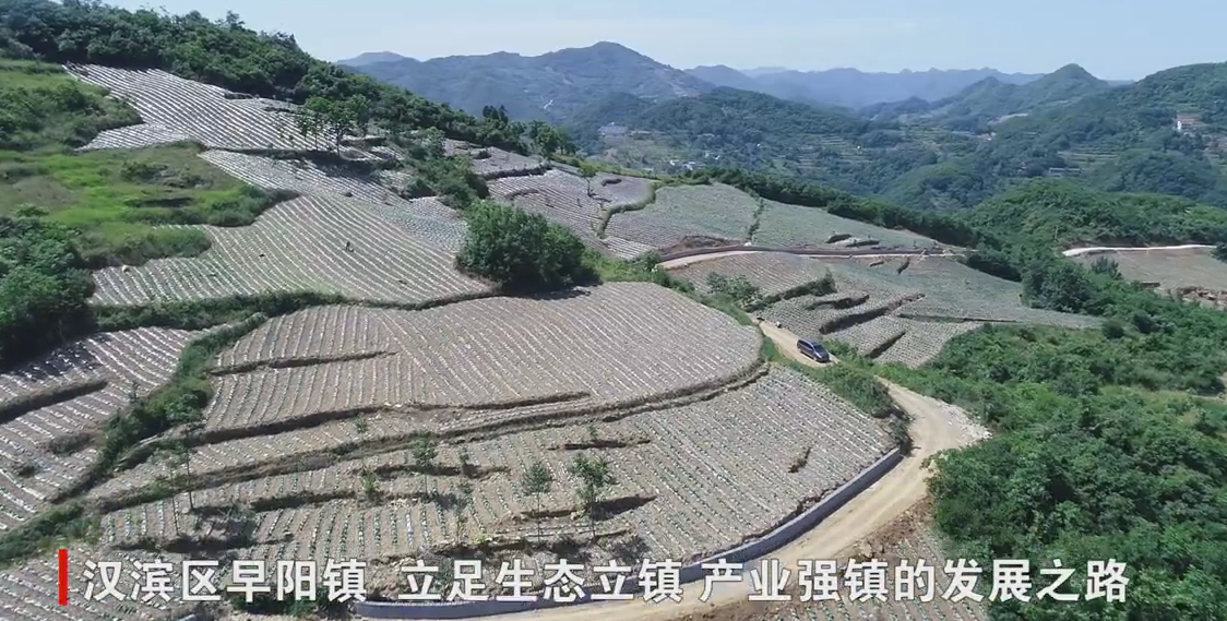 �h�I�^���患������lչ�����a�I �����l�����d���A