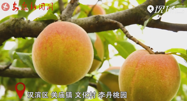 ҕ�� | ��҈@����������