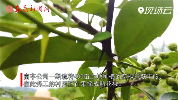 ҕ�����h�I�^�P�R患����Юa�I��Óؚ�������|��Ч