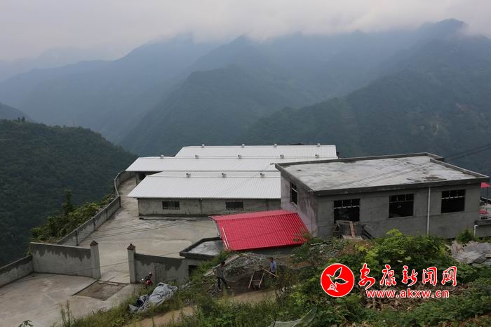 �{����С 3K8A9932.JPG