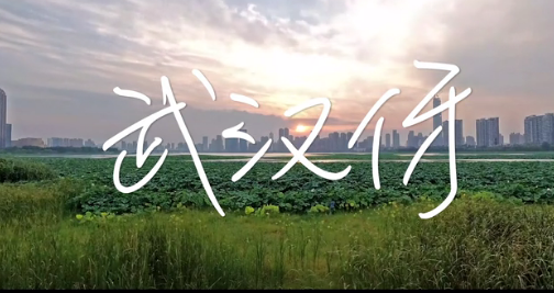 �ڰ������Ї��������}������������h��