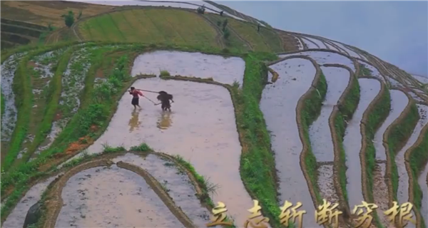 ȫ����Óؚ���ԡ�����o�Ƭչ�����μ�ӰƬ�R����־��ؚ����