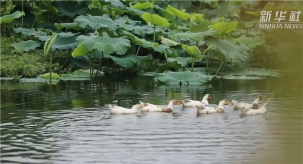 ȫ����Óؚ���ԡ�����o�Ƭչ�����μ�ӰƬ�R�����Һ��ҵ��H�ˡ�