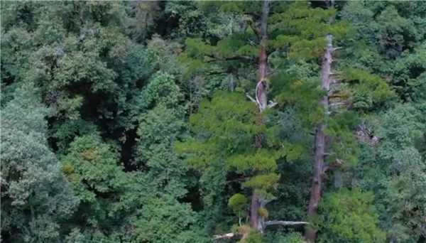 ȫ����Óؚ���ԡ�����o�Ƭչ��������Խŭ������������ؓ��ɽ