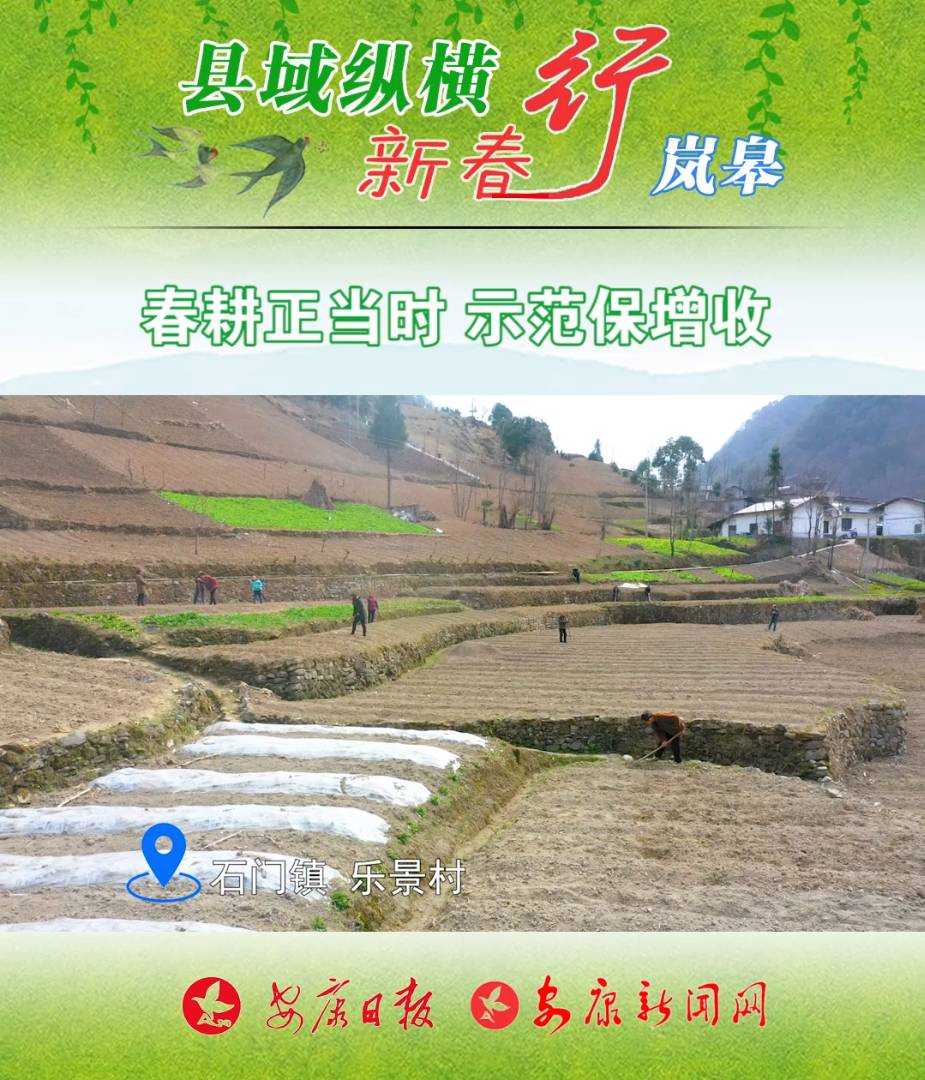 ���������r ʾ��������