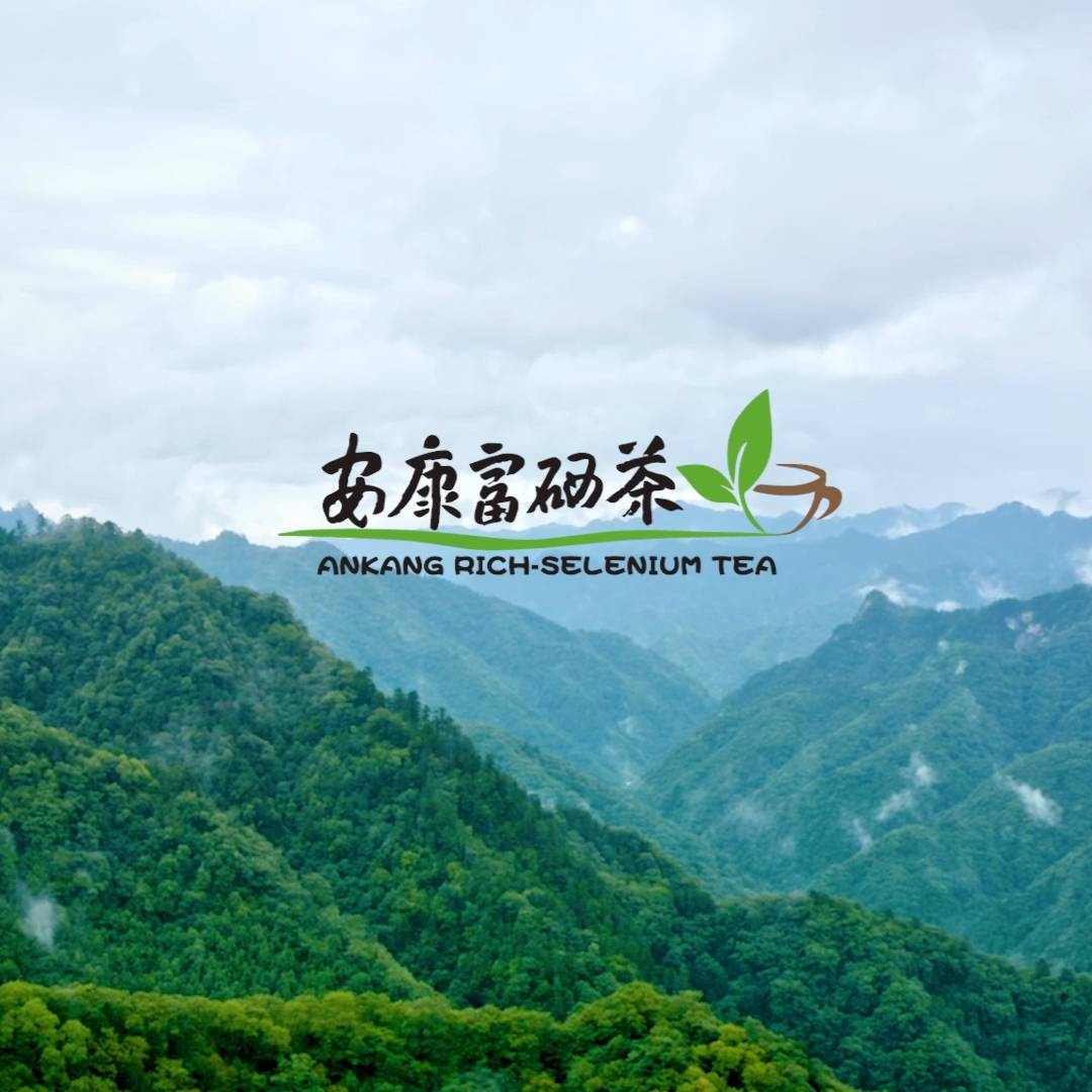 ��������������Ƭ��