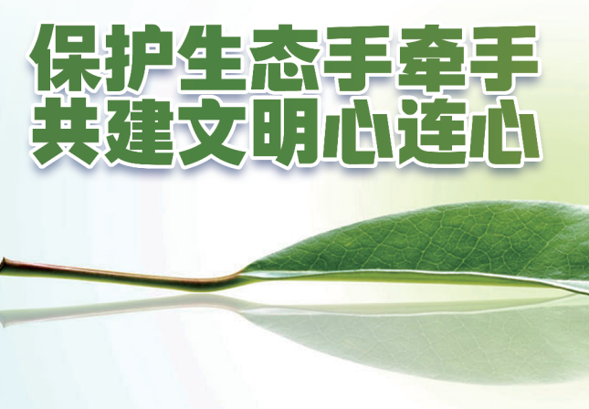 ���o���B�֠��� �����������B��