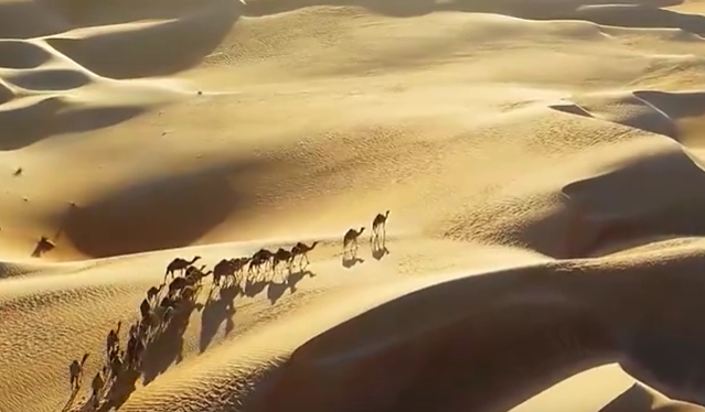 ��ͨ�򷱘s֮·����һ�������ͬ�С�һ��犌�ҕ