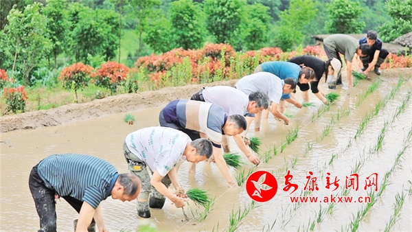 ��ץ�r�r����æ