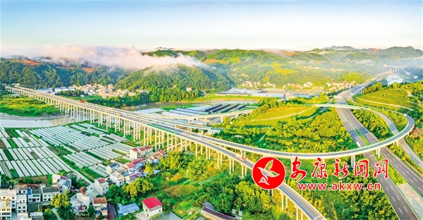 ������̹; ��ͨ�L��ƪ