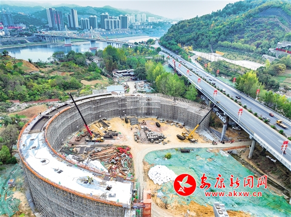 ������������Oæ