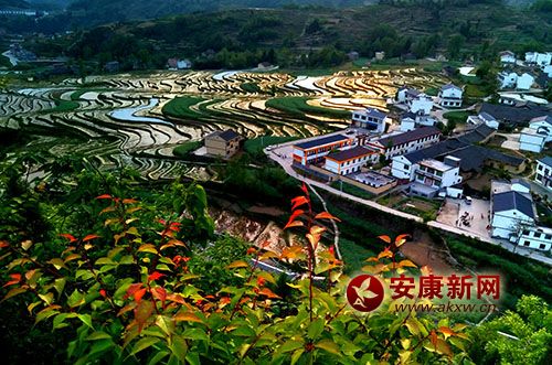 ��Ұ����