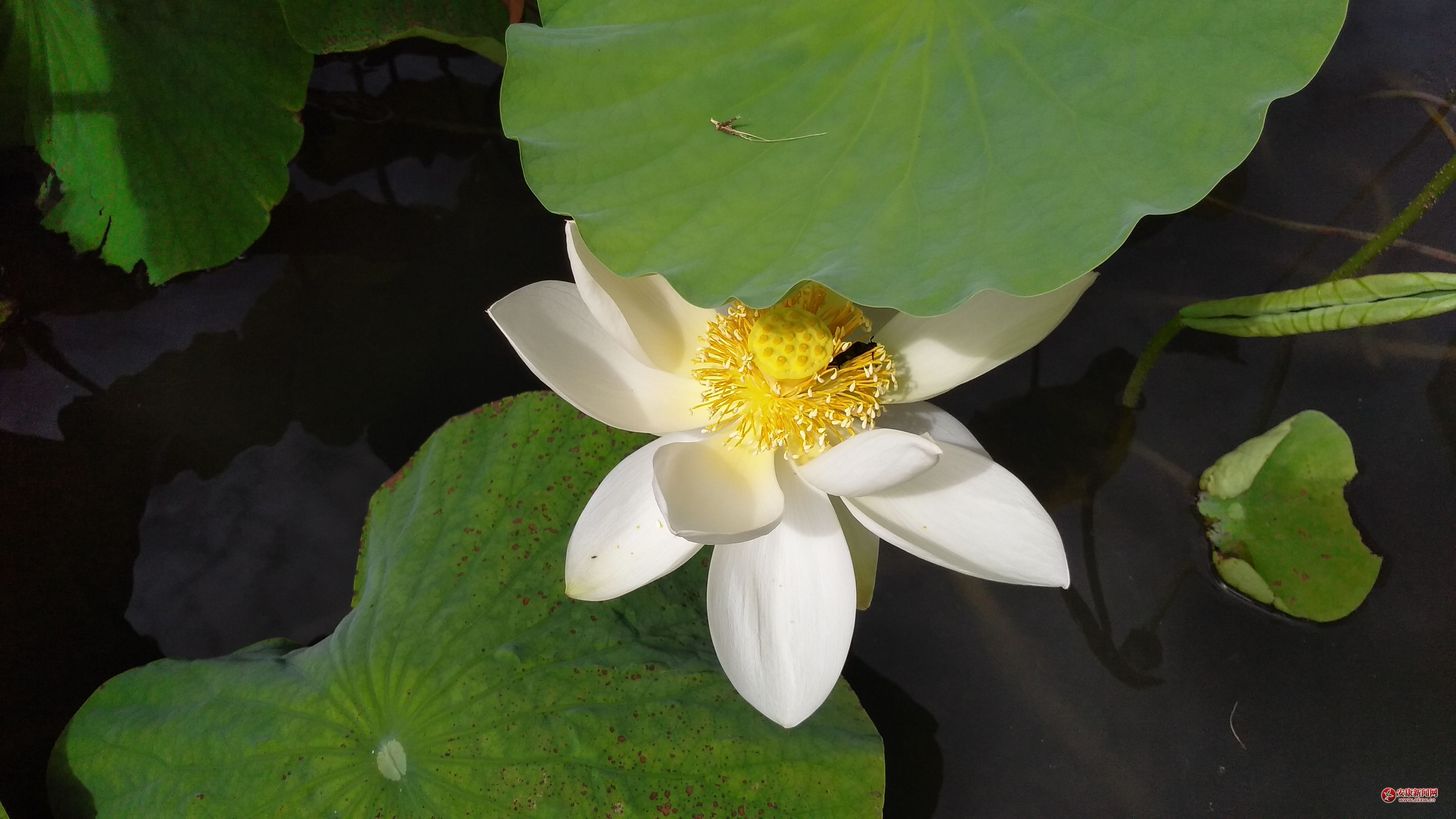 Ŀ֮���|����䡪��ʯȪʮ��