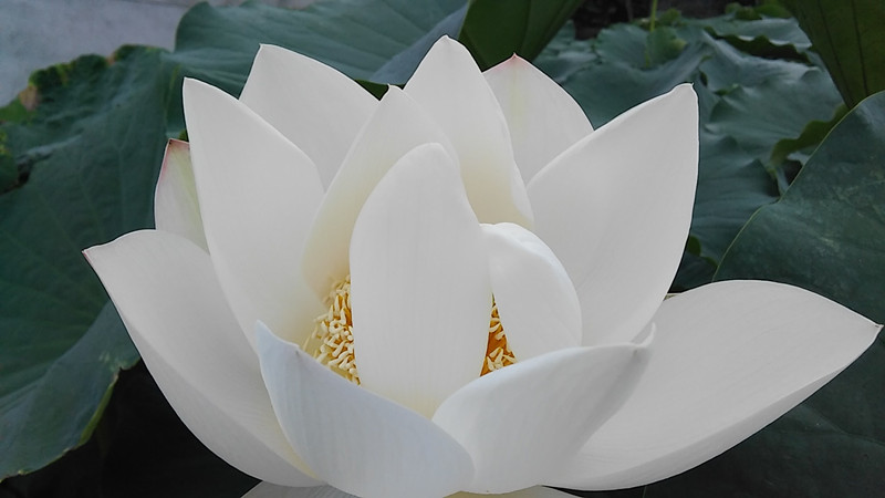 �貨���ӡ������޺ɻ�