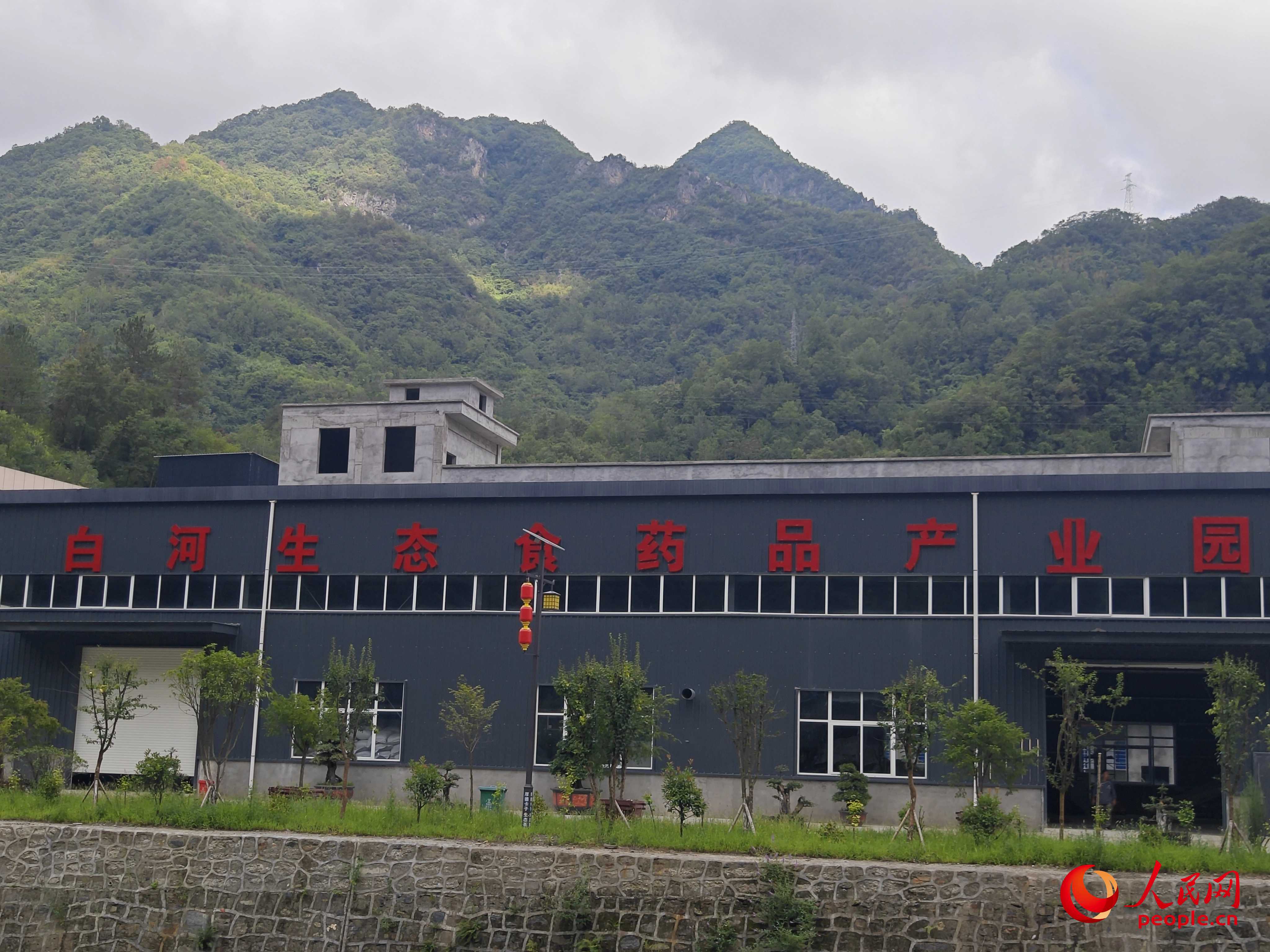 卡子鎮(zhèn)新建的社區(qū)工廠。人民網(wǎng)記者 黃鈺攝