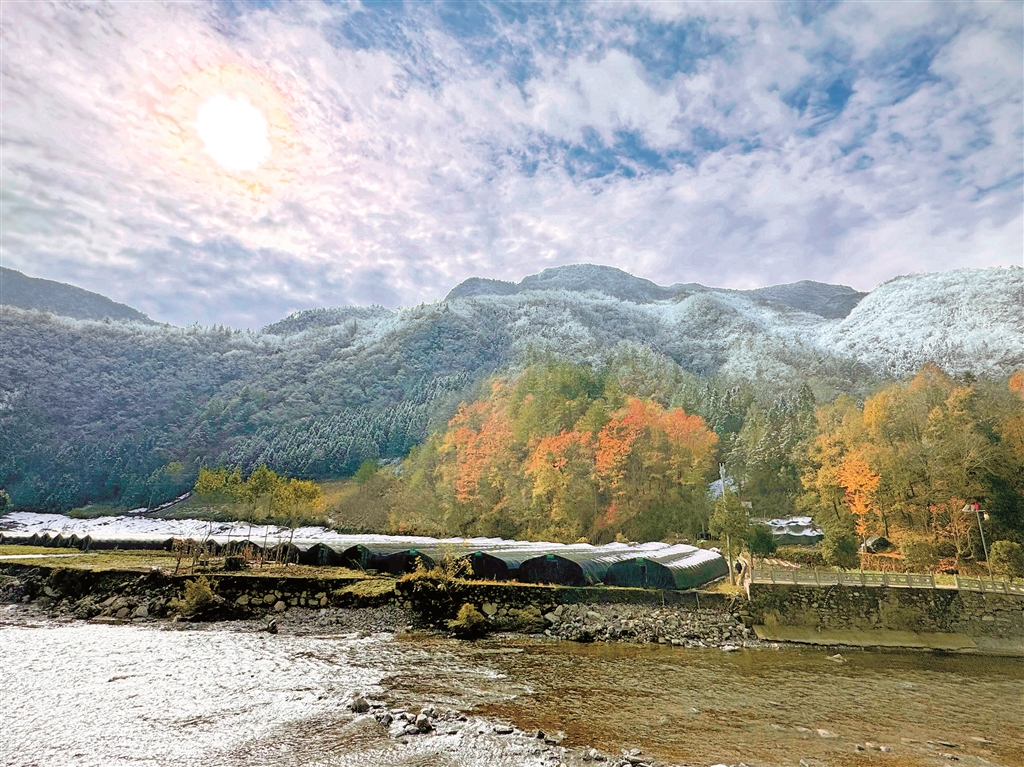華坪鎮山中冬景